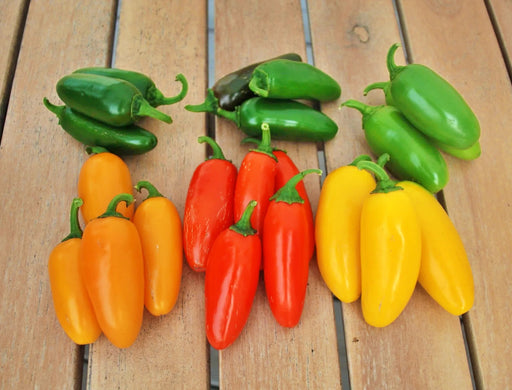 Jalapeno "NuMex Spice", Hot Pepper Mix, -- BoxGardenSeedsLLC -Peppers,Eggplants - Seeds