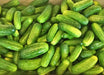 Bush Pickle, Cucumber, -- BoxGardenSeedsLLC -Cucumbers - Seeds