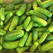 Bush Pickle, Cucumber, - BoxGardenSeedsLLC -Cucumbers - Seeds