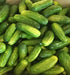 Homemade Pickles, Cucumber, -- BoxGardenSeedsLLC -Cucumbers - Seeds