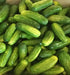 - BoxGardenSeedsLLC - Bush Pickle Cucumber - Cucumbers - Seeds