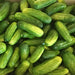 Bush Pickle, Cucumber, - BoxGardenSeedsLLC -Cucumbers - Seeds