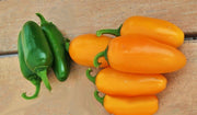 Jalapeno "NuMex Spice", Hot Pepper Mix - BoxGardenSeedsLLC - Peppers,Eggplants - Seeds - USA Seller, Thank you for shopping here today, Fresh Premier Seeds