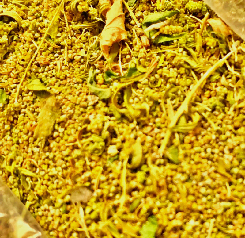 Epazote, Culinary & Medicinal Herbs - BoxGardenSeedsLLC - Culinary/Medicinal Herbs - Seeds - USA Seller, Thank you for shopping here today, Naturally Grown GMO Free Seeds, Heirloom Open Pollinated Seeds, Fresh Top Quality Premium Seeds