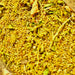 Epazote, Culinary & Medicinal Herbs, - BoxGardenSeedsLLC -Culinary/Medicinal Herbs - Seeds