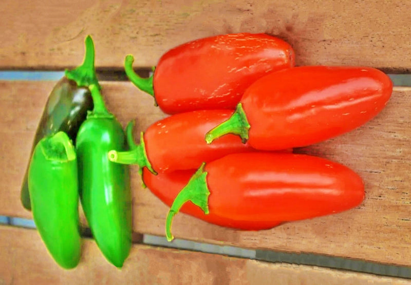 Jalapeno "NuMex Spice", Hot Pepper Mix - BoxGardenSeedsLLC - Peppers,Eggplants - Seeds - USA Seller, Thank you for shopping here today, Fresh Premier Seeds