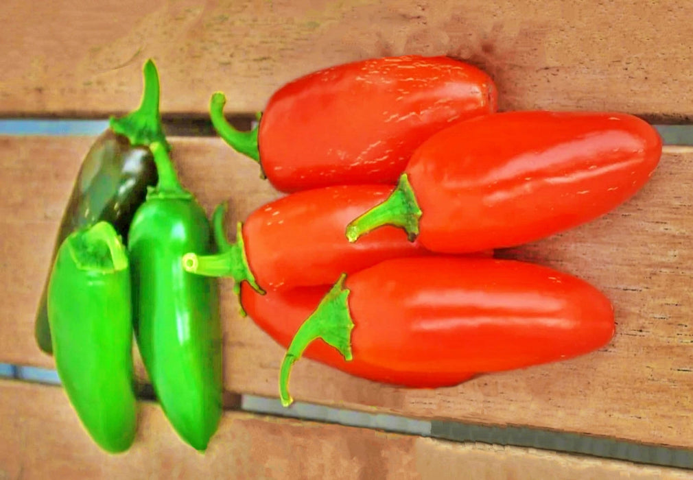 Jalapeno "NuMex Spice", Hot Pepper Mix, -- BoxGardenSeedsLLC -Peppers,Eggplants - Seeds