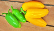 Jalapeno "NuMex Spice", Hot Pepper Mix - BoxGardenSeedsLLC - Peppers,Eggplants - Seeds - USA Seller, Thank you for shopping here today, Fresh Premier Seeds