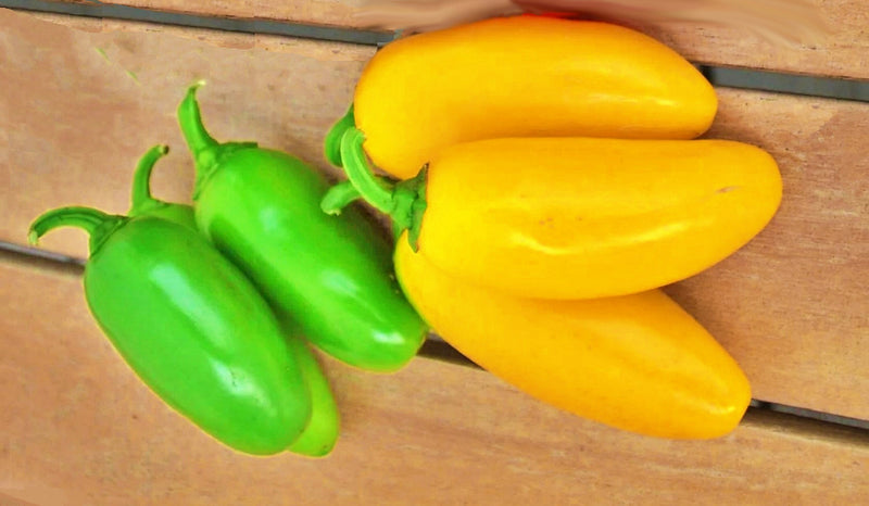 Jalapeno "NuMex Spice", Hot Pepper Mix - BoxGardenSeedsLLC - Peppers,Eggplants - Seeds - USA Seller, Thank you for shopping here today, Fresh Premier Seeds