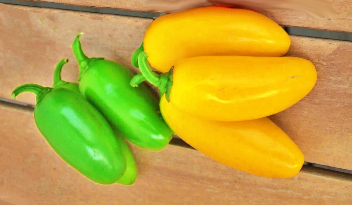 Jalapeno "NuMex Spice", Hot Pepper Mix, -- BoxGardenSeedsLLC -Peppers,Eggplants - Seeds