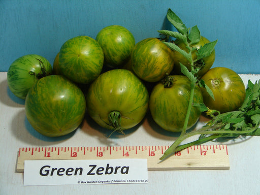 - BoxGardenSeedsLLC - Green Zebra, Tomato, - Tomatoes,Tomatillos - Seeds