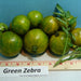 Green Zebra, Tomato, - BoxGardenSeedsLLC -Tomatoes,Tomatillos - Seeds