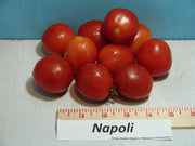Napoli, Tomato - BoxGardenSeedsLLC - Tomatoes,Tomatillos - Seeds - 