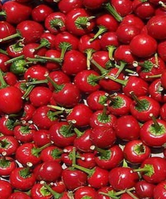 Red Cherry Bomb, Hot Pepper, -- BoxGardenSeedsLLC -Peppers,Eggplants - Seeds