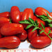 San Marzano Paste, Tomato, - BoxGardenSeedsLLC -Abundant Stock SALE - Seeds