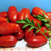 San Marzano Paste, Tomato, - BoxGardenSeedsLLC -Abundant Stock SALE - Seeds