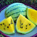 copy Early Moonbeam Watermelon Heirloom Seeds Melon Open Pollinated Seeds Non-GMO - BoxGardenSeedsLLC -Melons, Cantaloupe - Seeds