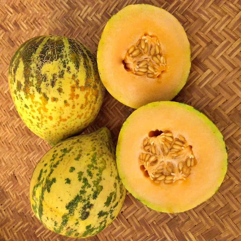 Sweet Freckles, Melon - BoxGardenSeedsLLC - Melons, Cantaloupe - Seeds - USA Seller, Thank you for shopping here today, Naturally Grown GMO Free Seeds, Heirloom Open Pollinated Seeds, Fresh Top Quality Premium Seeds