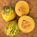 Sweet Freckles, Melon, -- BoxGardenSeedsLLC -Melons, Cantaloupe - Seeds