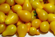 Yellow Pear, Tomato - BoxGardenSeedsLLC - Tomatoes,Tomatillos - Seeds - 