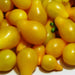 Yellow Pear, Tomato, - BoxGardenSeedsLLC -Abundant Stock SALE - Seeds