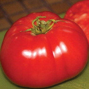Delicious, Tomato - BoxGardenSeedsLLC - ABS - Seeds