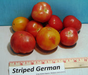 Striped German, Tomato - BoxGardenSeedsLLC - Tomatoes,Tomatillos - Seeds - 