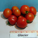 Glacier, Tomato, - BoxGardenSeedsLLC -Tomatoes,Tomatillos - Seeds