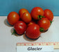 Glacier, Tomato, -- BoxGardenSeedsLLC -Tomatoes,Tomatillos - Seeds