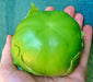 Plaza Latina Giant Green, Tomatillo, -- BoxGardenSeedsLLC -Tomatoes,Tomatillos - Seeds