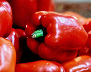 Cal Rose Red, Sweet Pepper - BoxGardenSeedsLLC - Gourmet/Native Greens - Seeds - USA Seller, Thank you for shopping here today, Naturally Grown GMO Free Seeds, Heirloom Open Pollinated Seeds, Fresh Top Quality Premium Seeds