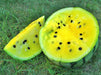 copy Early Moonbeam Watermelon Heirloom Seeds Melon Open Pollinated Seeds Non-GMO - BoxGardenSeedsLLC -Melons, Cantaloupe - Seeds
