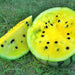 copy Early Moonbeam Watermelon Heirloom Seeds Melon Open Pollinated Seeds Non-GMO - BoxGardenSeedsLLC -Melons, Cantaloupe - Seeds