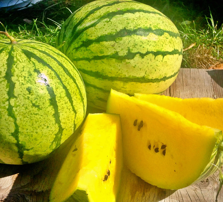 copy Early Moonbeam Watermelon Heirloom Seeds Melon Open Pollinated Seeds Non-GMO - BoxGardenSeedsLLC -Melons, Cantaloupe - Seeds
