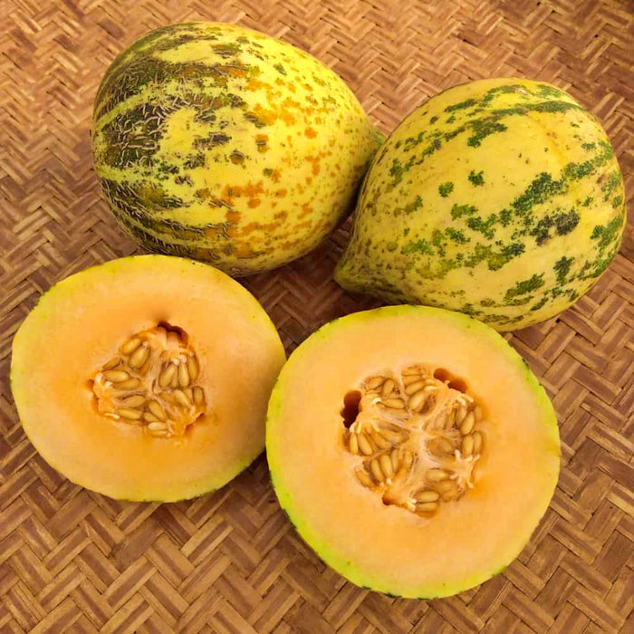 Sweet Freckles, Melon, -- BoxGardenSeedsLLC -Melons, Cantaloupe - Seeds