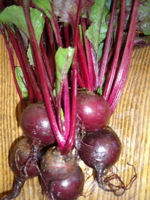 Green Top Bunching, Beets, -- BoxGardenSeedsLLC -Beets,Turnips,Parsnips - Seeds