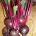 Green Top Bunching, Beets, - BoxGardenSeedsLLC -Beet,Turnips,Parsnips - Seeds