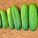 Addis, Cucumber, - BoxGardenSeedsLLC -Cucumbers - Seeds