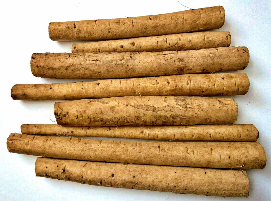 Chiko, Burdock (Gobo), -- BoxGardenSeedsLLC -Culinary/Medicinal Herbs - Seeds