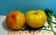 Pineapple Heirloom Tomato Seed Non-GMO - 30+ Seeds Grown To Organic Standards Open Pollinated Gardening - BoxGardenSeedsLLC -Tomatoes,Tomatillos - Seeds