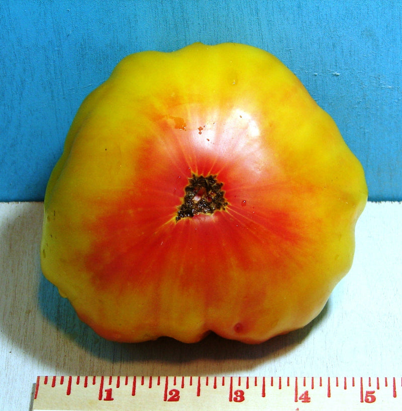 Pineapple Heirloom Tomato Seed Non-GMO - 30+ Seeds Grown To Organic Standards Open Pollinated Gardening - BoxGardenSeedsLLC -Tomatoes,Tomatillos - Seeds