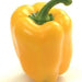 Golden Cal Wonder, Sweet Bell Pepper, - BoxGardenSeedsLLC -Peppers,Eggplants - Seeds