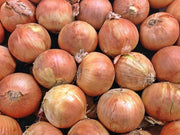 Utah Yellow Sweet Spanish, Onion - BoxGardenSeedsLLC - Onions,Leeks - Seeds - USA Seller, Thank you for shopping here today, Naturally Grown GMO Free Seeds, Heirloom Open Pollinated Seeds, Fresh Top Quality Premium Seeds