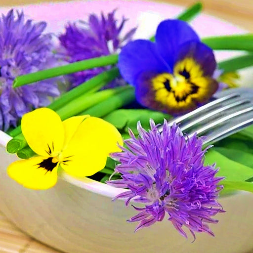 - BoxGardenSeedsLLC - Edible Wildflower, Seed Mix, - Gourmet/Native Greens - Seeds