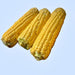 New Moma, Super Sweet Corn -- BoxGardenSeedsLLC -Corn - Seeds