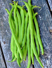 Top Crop, Bush Beans - BoxGardenSeedsLLC - Beans / Dry Beans - Seeds - USA Seller, Thank you for shopping here today, Naturally Grown GMO Free Seeds, Heirloom Open Pollinated Seeds, Fresh Top Quality Premium Seeds