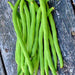 Top Crop, Bush Beans, - BoxGardenSeedsLLC -Abundant Stock SALE - Seeds