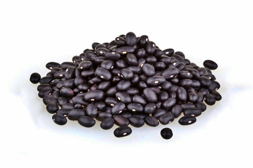 Hopi Black, Dry Bush Beans, -- BoxGardenSeedsLLC -Beans / Dry Beans - Seeds