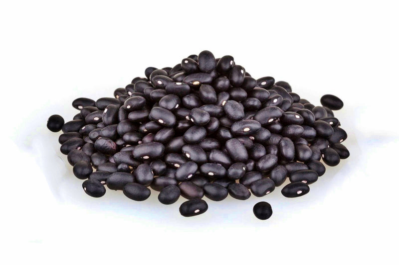 Hopi Black, Dry Bush Beans - BoxGardenSeedsLLC - Beans / Dry Beans - Seeds - USA Seller, Thank you for shopping here today, Naturally Grown GMO Free Seeds, Heirloom Open Pollinated Seeds, Fresh Top Quality Premium Seeds