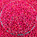 Adzuki Red, Beans, - BoxGardenSeedsLLC -Beans / Dry Beans - Seeds